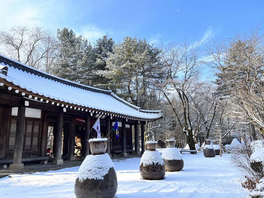 Seoul: Seorak Mountain+Nami Island+Eobi Ice Valley Tour - Who should book this experience