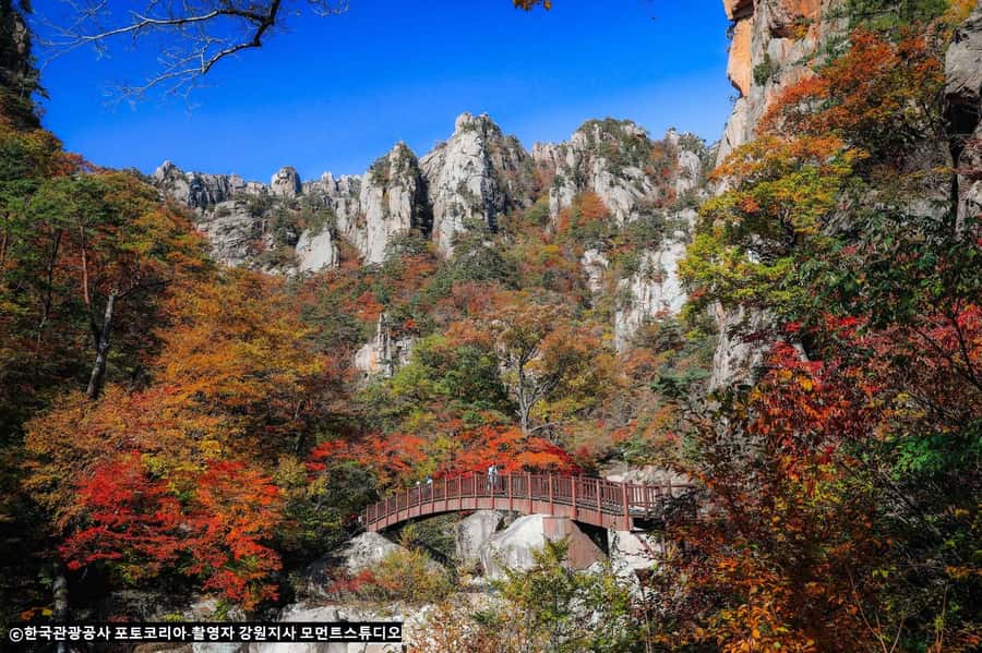 Seoul: Seorak Mountain+Nami Island+Eobi Ice Valley Tour - Should you book this winter tour?