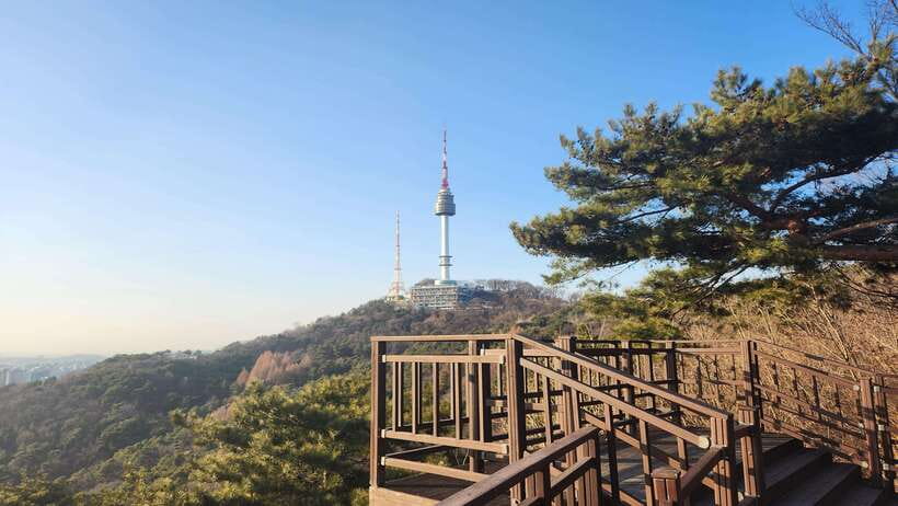 Seoul: Services of a Local for a Day (Paperwork/Tour/Fun) - Key points to know before booking