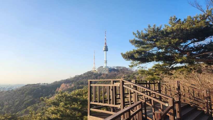 Seoul: Services of a Local for a Day (Paperwork/Tour/Fun) - Paperwork, translation, and difficult conversations