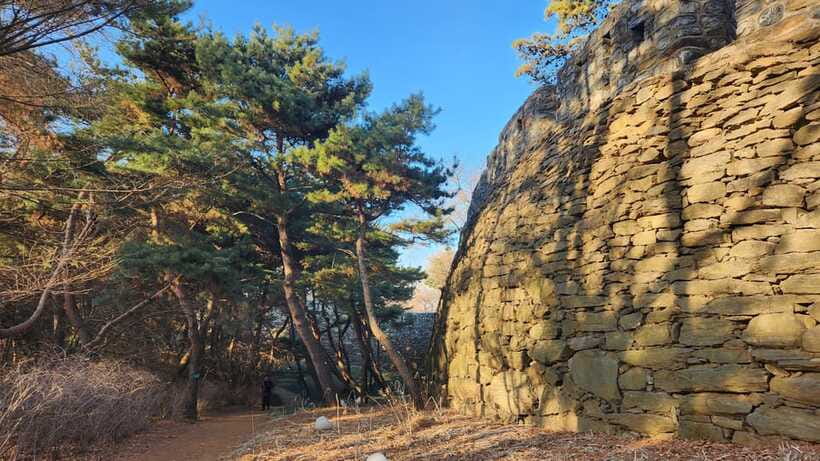Seoul: Services of a Local for a Day (Paperwork/Tour/Fun) - Accessibility and comfort