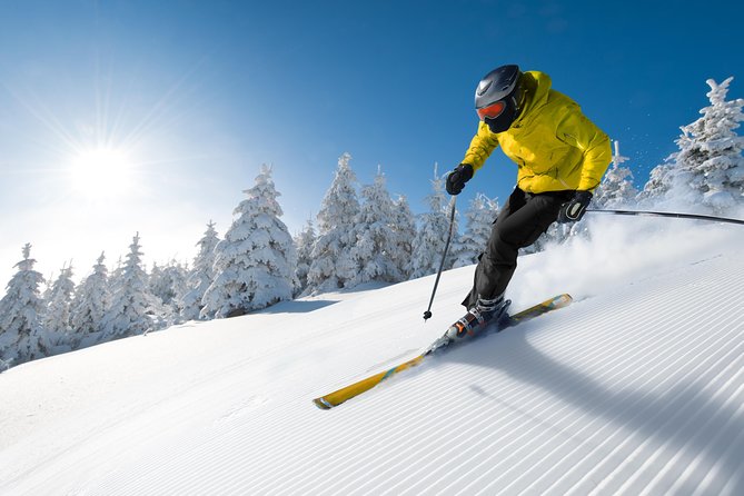 Seoul Ski Tour at Jisan Forest Resort - The 30-minute beginner lesson