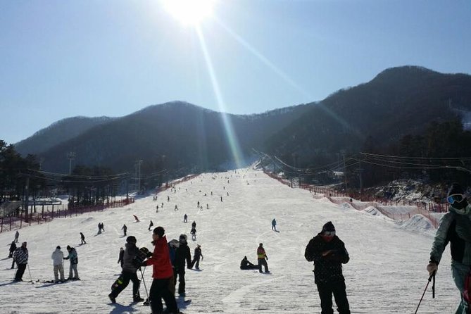 Seoul Ski Tour at Jisan Forest Resort - Food, the return trip, and the shopping stop