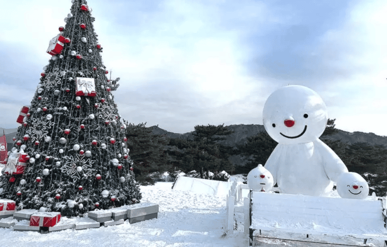 Seoul: SnowyLand in Vivaldi Park with Nami or Alpaca - Choose Nami Island for scenery and an easy winter walk