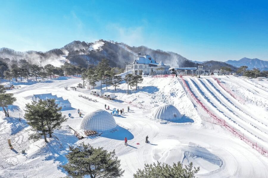 Seoul: SnowyLand in Vivaldi Park with Nami or Alpaca - What the $70 price really covers