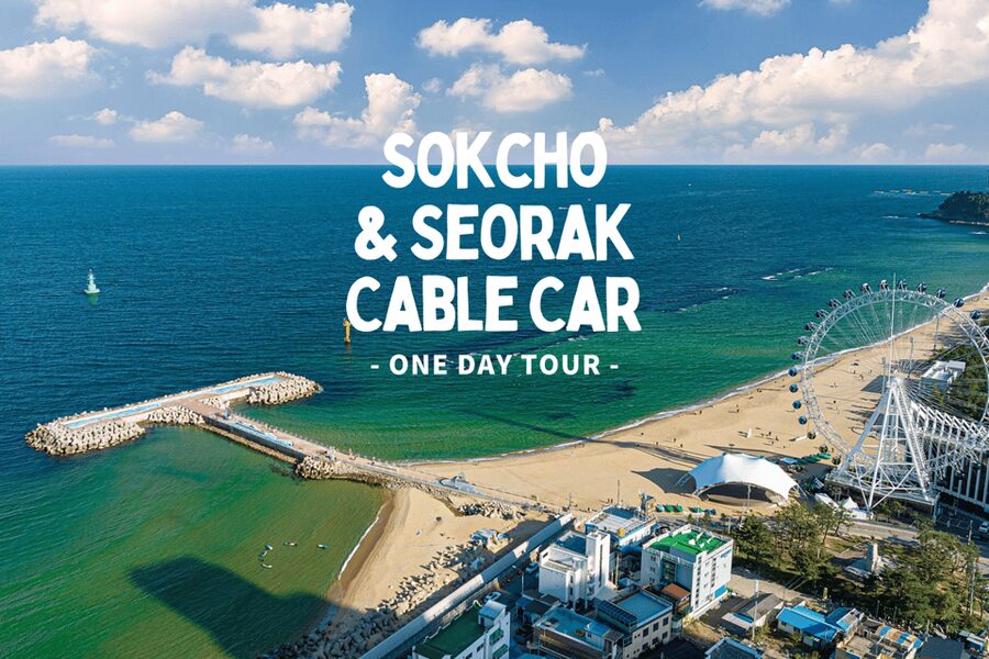 Seoul: Sokcho beach, market, hot spring and Seorak Cable Car - Sokcho Tourist and Fishery Market is the main food choice