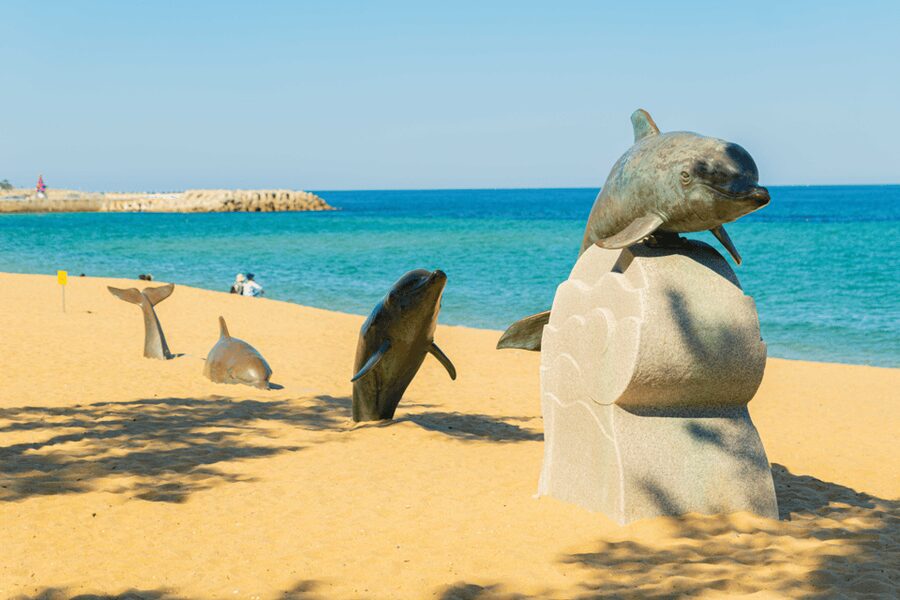 Seoul: Sokcho beach, market, hot spring and Seorak Cable Car - What the $76 price really covers