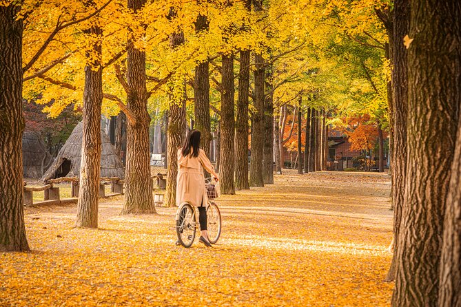 Seoul to/from Nami Island: Round trip Shuttle Bus Service - Arriving at Nami Island and choosing your entry