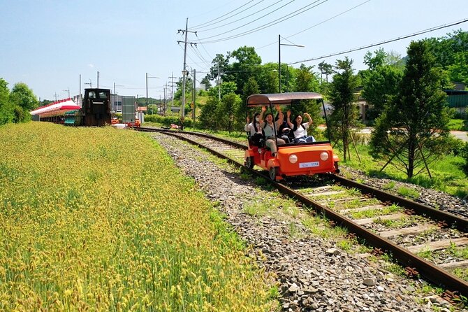 Seoul Vicinity 5 in 1: Nami Island, Garden of Morning Calm & More - Five countryside attractions in one long day