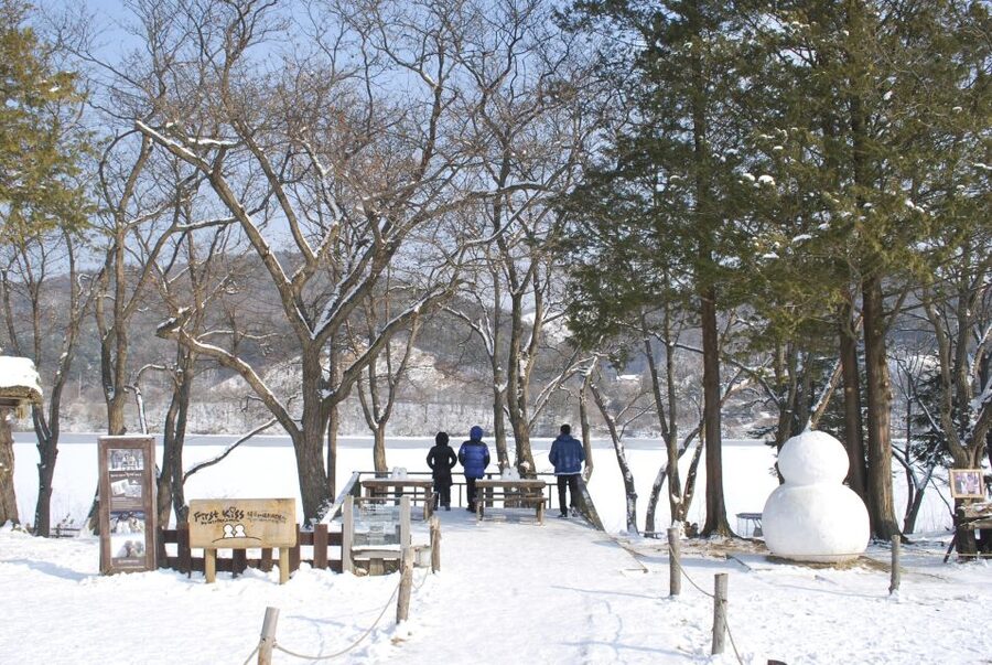Seoul: Vivaldi Park Winter Ski with Nami Island Day Tour - A snow day that begins in Seoul