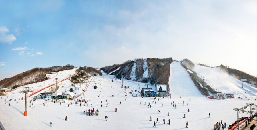 Seoul: Vivaldi Park Winter Ski with Nami Island Day Tour - Small details that make the day easier