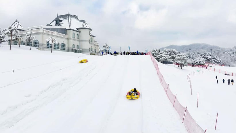Seoul: Vivaldi Park Winter Ski with Nami Island Day Tour - Learning the basics at Vivaldi Park