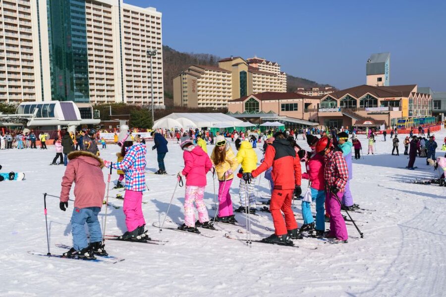 Seoul: Vivaldi Park Winter Ski with Nami Island Day Tour - Snowyland for a gentler family day
