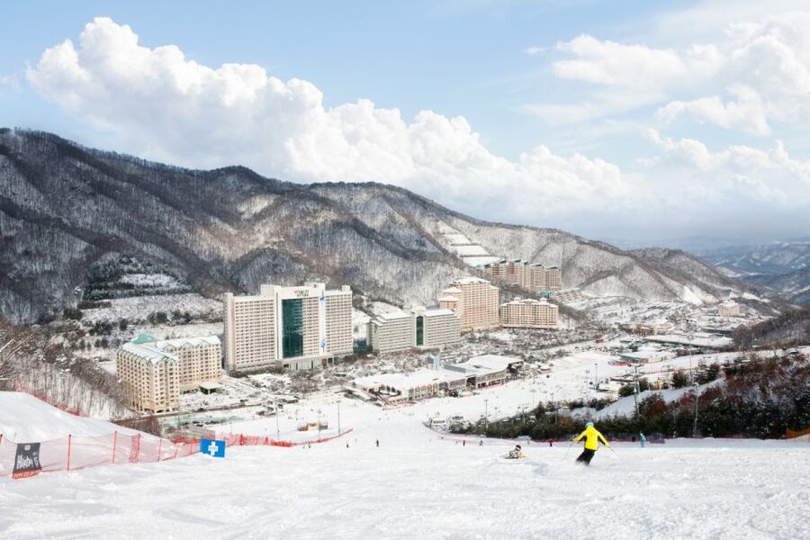 Seoul: Vivaldi Park Winter Ski with Nami Island Day Tour - From ski runs to Nami Island paths