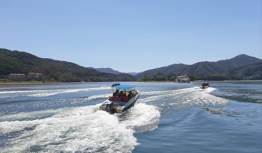Seoul: Vivaldi Park Winter Ski with Nami Island Day Tour - Who should book this day trip
