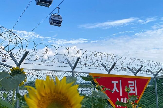 Signature DMZ Tour: Exclusive Defector Talk & Suspension Bridge - Is $27 good value for a DMZ day?