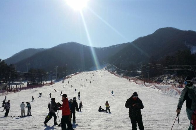Ski Tour to Jisan Ski Resort from Seoul - Pick the snow option that fits your group