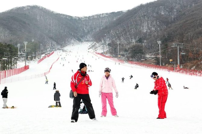 Ski Tour to Jisan Ski Resort from Seoul - Jisan or Yangji, chosen for the day
