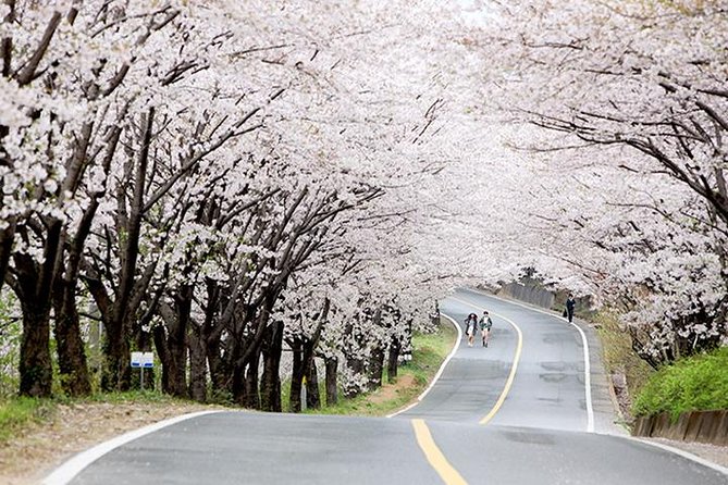 Small Group 7D Korea package Tour with Seoul Gyeongju Busan Jeju - Day 1: Jeju’s volcanic coast and eastern villages
