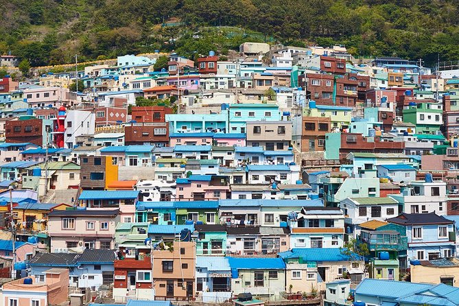 Small Group 7D Korea package Tour with Seoul Gyeongju Busan Jeju - Day 3: Busan markets, temples, and the sea