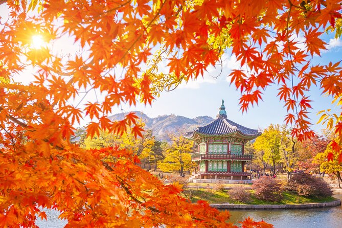 Small Group (7pax) Seoul Tour with Pickup/Dropoff (No Shopping) - Why this small Seoul tour works