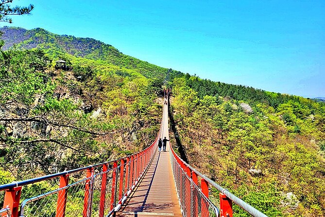 Small-Group DMZ Tour w/ North Korea Experience Hall & Susp.Bridge - Dora Observatory offers a controlled glimpse across the border