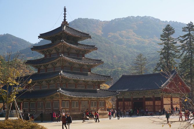 Songnisan National Park & Beopjusa Temple UNESCO site Private Tour - Is $248 per person a fair price?