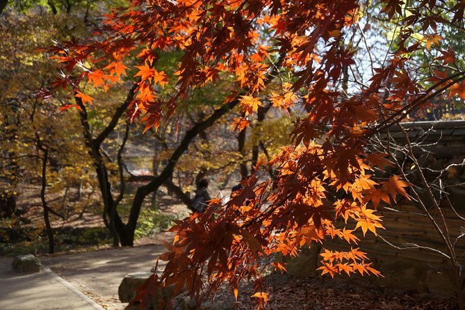 Songnisan National Park & Beopjusa Temple UNESCO site Private Tour - What the strongest guide feedback tells you