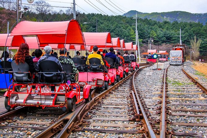 Special Private Tour Nami Island, Rail Bike, Petite France - Chuncheon chicken barbecue at Howon Garden