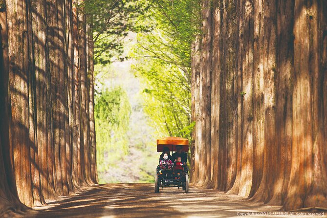 Special Private Tour Nami Island, Rail Bike, Petite France - What the private guide adds