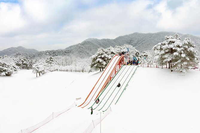Strawberry Picking, Winter Sled with Eobi Ice Valley from Seoul - Key points to know before booking