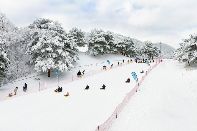 Strawberry Picking, Winter Sled with Eobi Ice Valley from Seoul - What the $79.05 price really covers