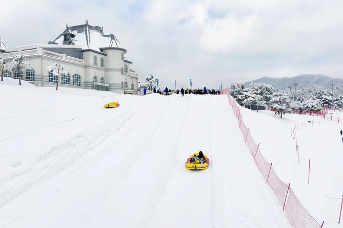Strawberry Picking, Winter Sled with Eobi Ice Valley from Seoul - Who will enjoy this tour most
