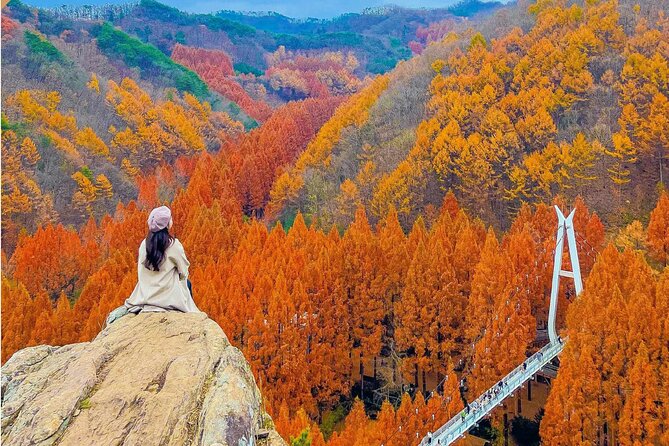 Suwon Hwaseong Fortress & Jangtaesan Full-Day Tour: Autumn Leaves - Who will enjoy this day most?