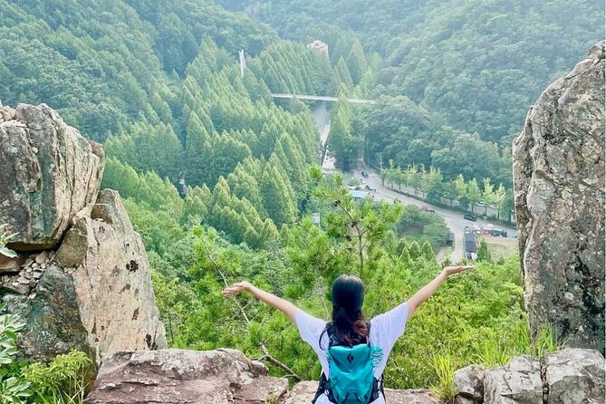 Suwon Hwaseong Fortress & Jangtaesan Full-Day Tour: Autumn Leaves - Should you book the Jangtaesan and Suwon day tour?