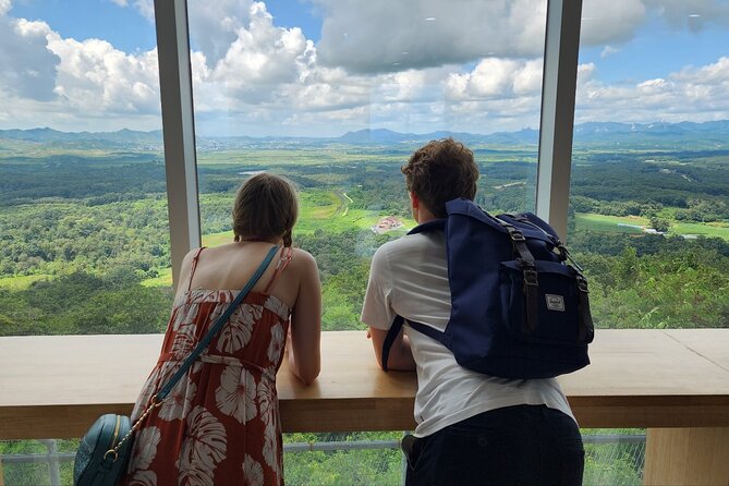 Thrilling Korean DMZ 3rd Tunnel Tour from Seoul + Red Bridge Rush - Dora Observatory and the view toward North Korea