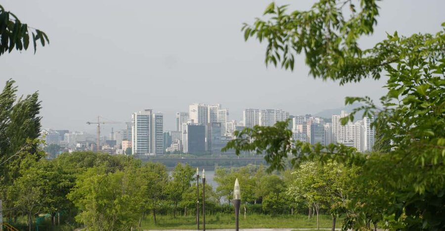 Unique Native Experience : Han River Picnic, Board game, BBQ - A friendly way to meet Seoul