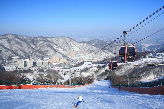Vivaldi Park Winter Ski Resort with Nami Island Tour from Seoul - Key points at a glance