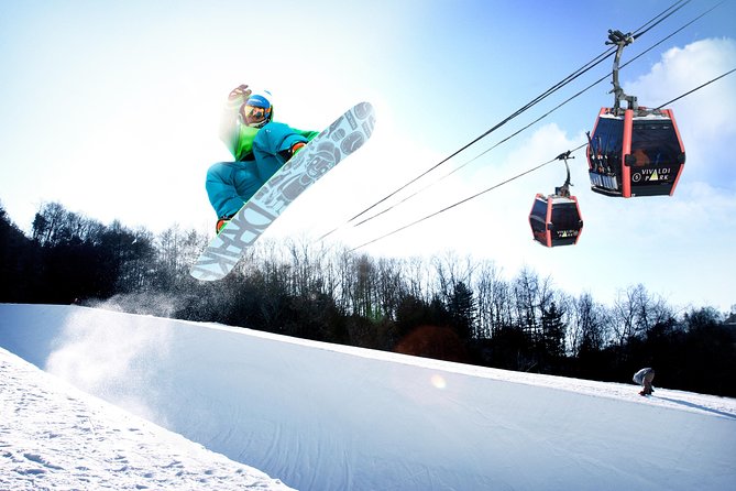 Vivaldi Park Winter Ski Resort with Nami Island Tour from Seoul - A Seoul snow day with two very different stops
