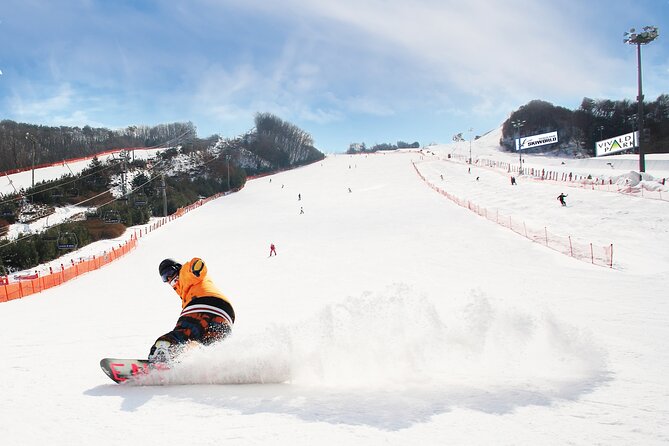 Vivaldi Park Winter Ski Resort with Nami Island Tour from Seoul - Four hours on snow at Vivaldi Park