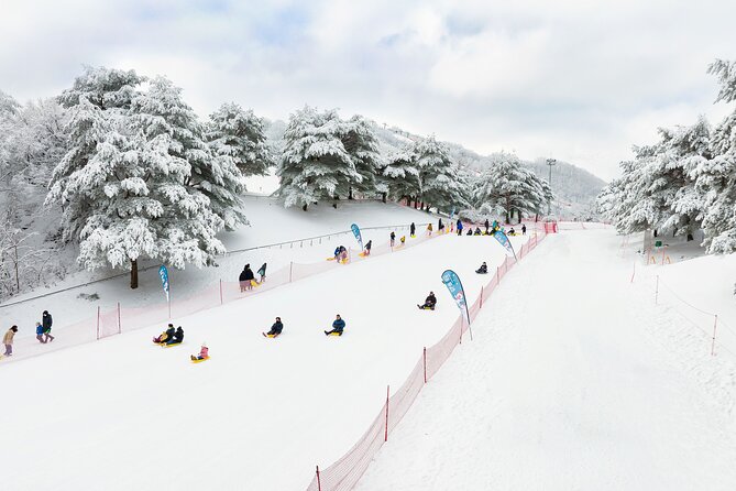Vivaldi Park Winter Ski Resort with Nami Island Tour from Seoul - What each package really includes