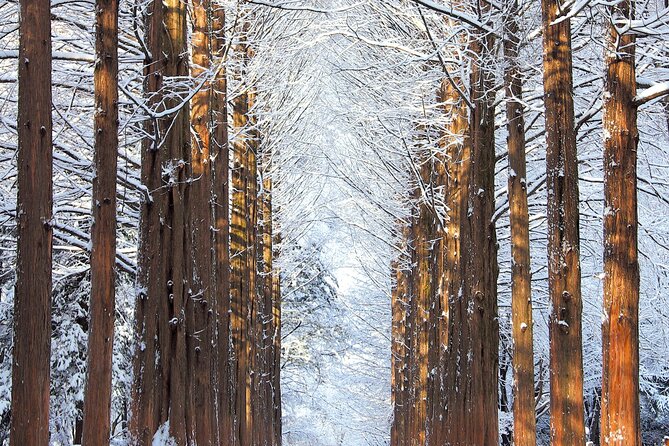 Vivaldi Park Winter Ski Resort with Nami Island Tour from Seoul - How the guide and group format affect the day