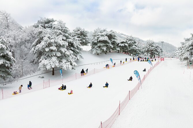 Vivaldi Park Winter Ski with Eobi Ice Valley Day Tour from Seoul - Two winter worlds outside Seoul