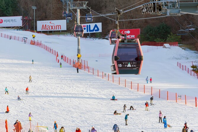 Vivaldi Park Winter Ski with Eobi Ice Valley Day Tour from Seoul - What the extra costs mean