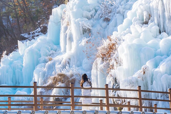 Vivaldi Park Winter Ski with Eobi Ice Valley Day Tour from Seoul - Who will enjoy this day most