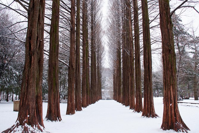 Winter Sonata TV Tour on Nami Island from Seoul - Why Nami Island carries this tour