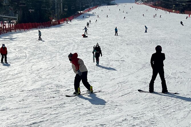 Yongpyong Ski Resort from Seoul with Optional Lesson and Packages - Mt. Balwangsan gondola and the Skywalk